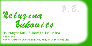 meluzina bukovits business card